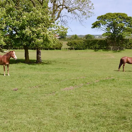 The Pavillion Holiday home *